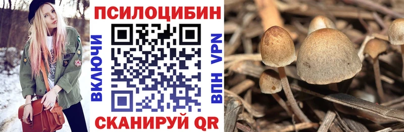 Псилоцибиновые грибы ЛСД  закладки  Островной 